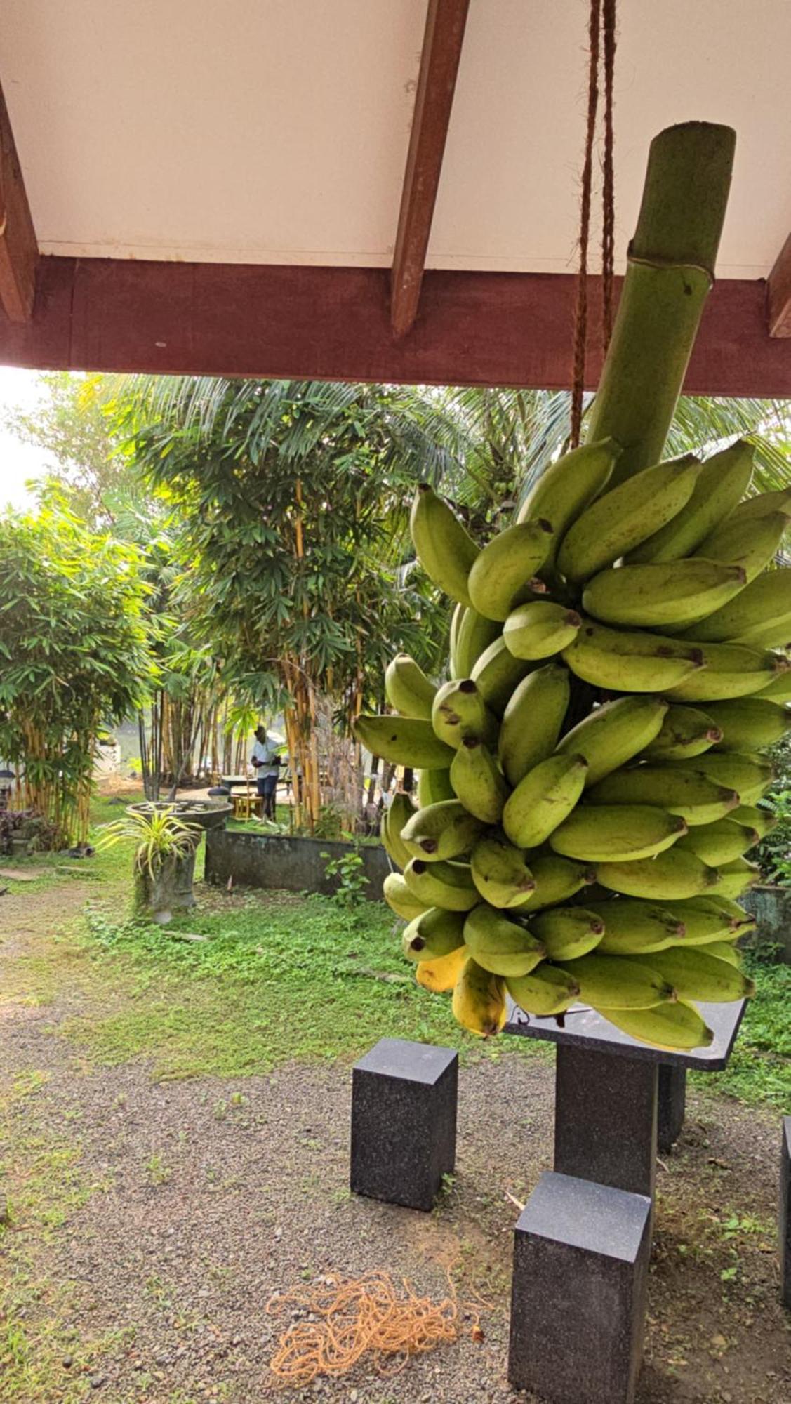 My Paradise Ahangama Bagian luar foto